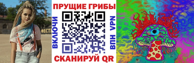 Псилоцибиновые грибы Psilocybe  Купить закладки  Североуральск 